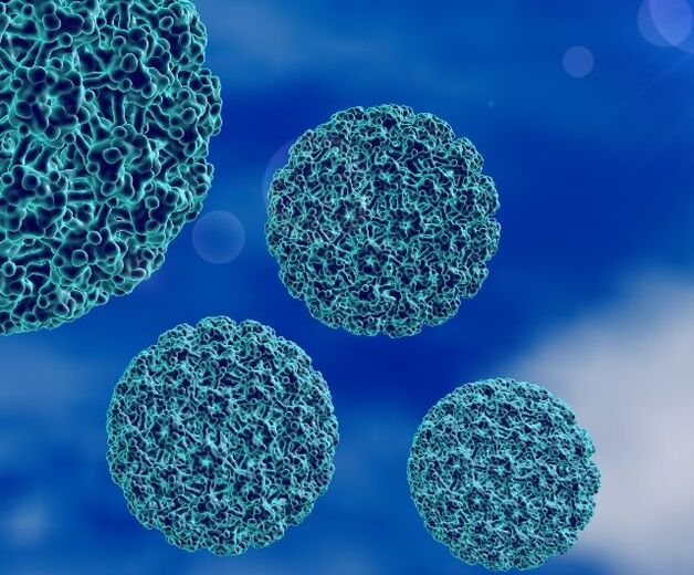 Өкше сүйелдерін тудыратын HPV вирусының 3D моделі